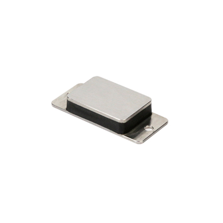 embedded rfid tag